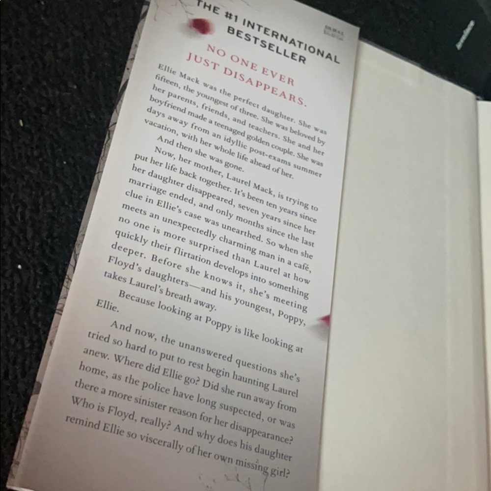 Mystery Novel